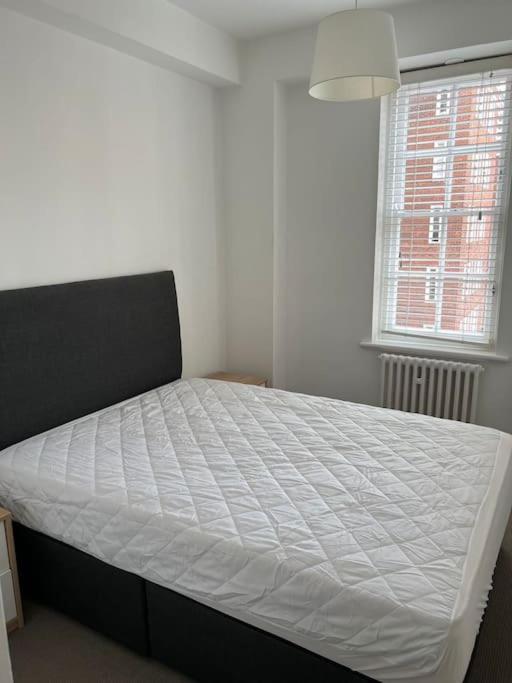 Spacious Victoria 2 Bedroom